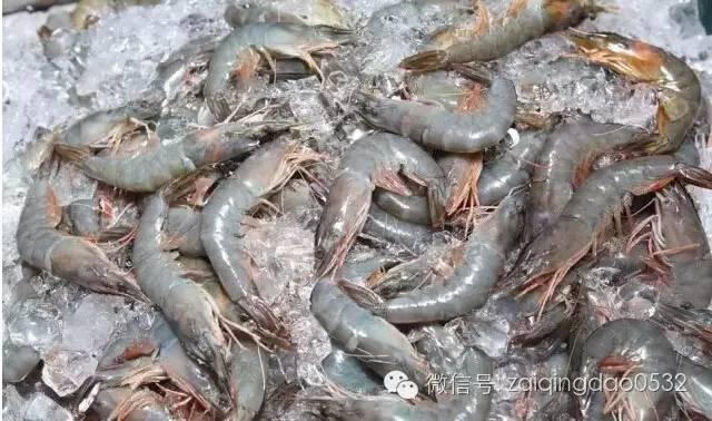 组图:关于秋季吃海鲜的常识和禁忌 拿好不谢! 组图:关于秋季吃海鲜的常识和禁忌 拿好不谢!