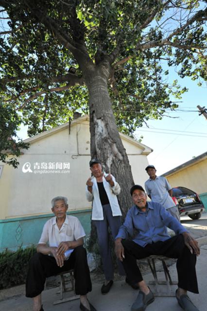 【美丽乡村】长寿村小辛疃:99岁老人仍干农活
