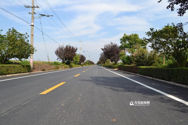 【美丽乡村】长寿村小辛疃:99岁老人仍干农活
