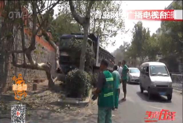 满载沙土大货车刹车失灵 撞倒路边大树司机受惊