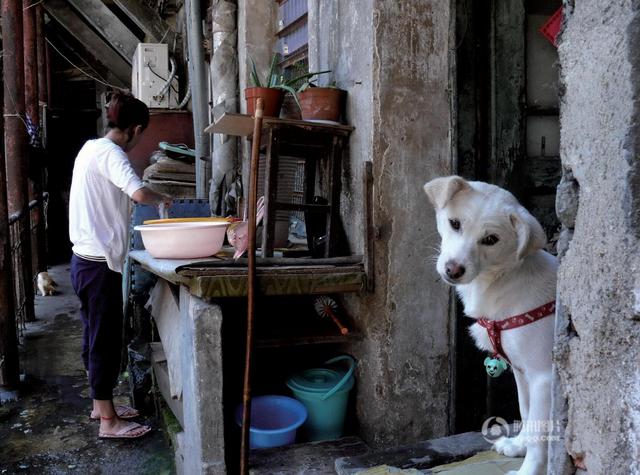 高清:停泊记忆的老街 实拍黄岛路上的人间烟火