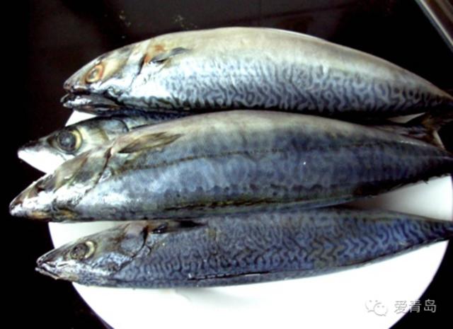 组图:鲅鱼季来袭！这十种吃法最有味 你会做吗