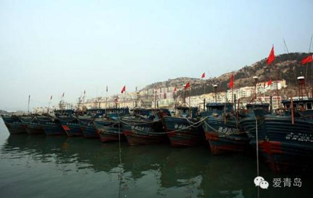 组图:鲅鱼季来袭！这十种吃法最有味 你会做吗