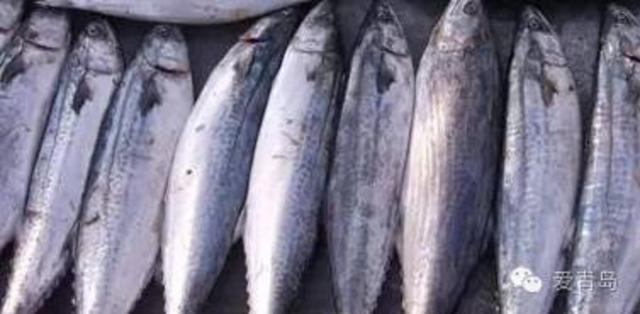 组图:鲅鱼季来袭！这十种吃法最有味 你会做吗