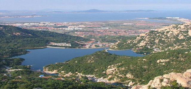 崂山晓望社区:二龙山畔茶香四溢 崂山晓望社区:二龙山畔茶香四溢