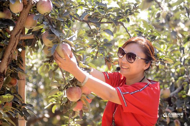 高清:摘果蔬品美食 来胶州洋河体验农家慢生活 高清:摘果蔬品美食 来胶州洋河体验农家慢生活