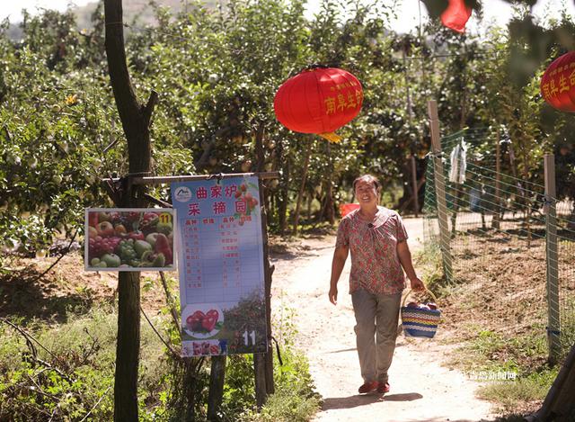 高清:摘果蔬品美食 来胶州洋河体验农家慢生活 高清:摘果蔬品美食 来胶州洋河体验农家慢生活