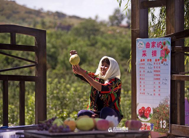 高清:摘果蔬品美食 来胶州洋河体验农家慢生活 高清:摘果蔬品美食 来胶州洋河体验农家慢生活