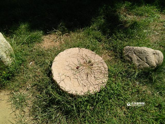 揭秘会前村 始于明代曾被称为中山公园之根