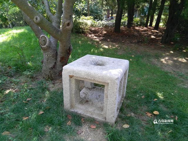 揭秘会前村 始于明代曾被称为中山公园之根