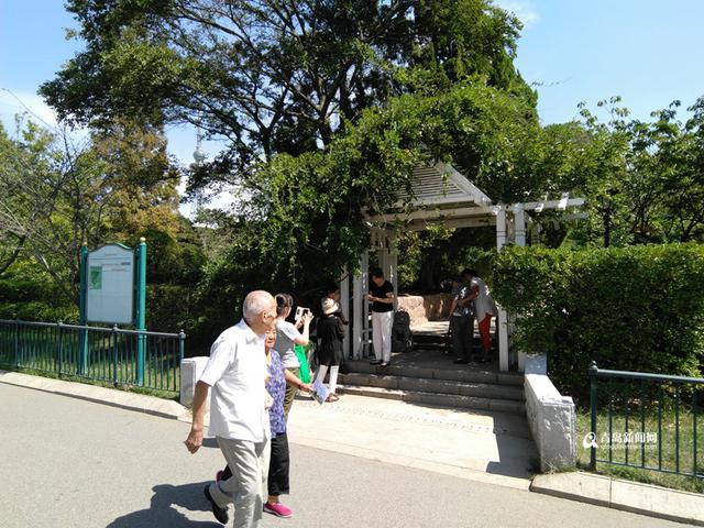 揭秘会前村 始于明代曾被称为中山公园之根