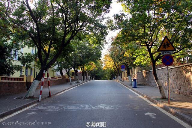 组图：八大关最美的季节来了 梧桐悄然换装秋意浓