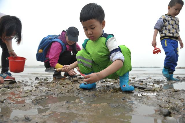 红岛最全旅游攻略出炉
