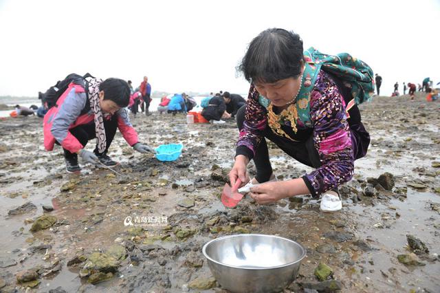 红岛最全旅游攻略出炉