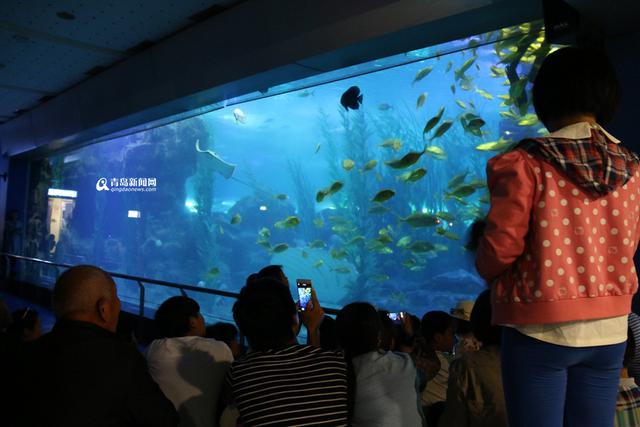 快收藏 十一黄金周青岛最全旅游攻略出炉