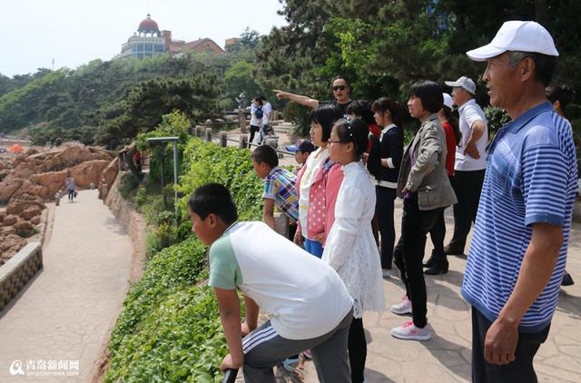 快收藏 十一黄金周青岛最全旅游攻略出炉