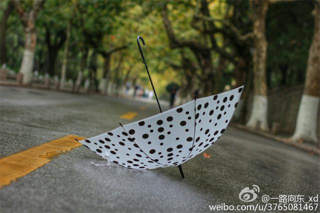 青岛秋意渐浓 烟雨蒙蒙叶落纷纷 青岛秋意渐浓 烟雨蒙蒙叶落纷纷