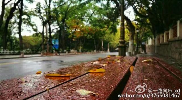 青岛秋意渐浓 烟雨蒙蒙叶落纷纷 青岛秋意渐浓 烟雨蒙蒙叶落纷纷