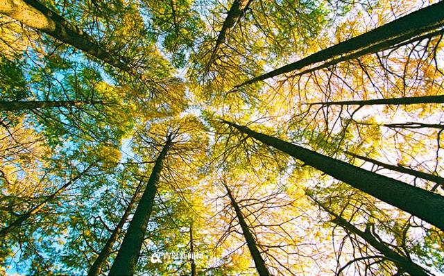 快收藏 十一黄金周青岛最全旅游攻略出炉