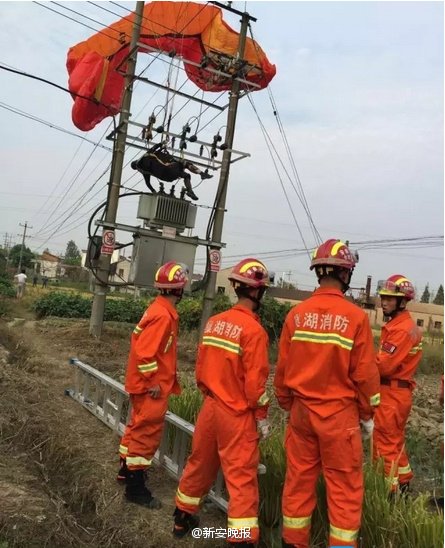 男子玩滑翔伞挂上空中高压线 触电身亡(图)