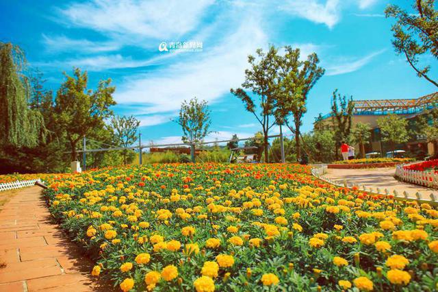 高清:邂逅秋天的世博园 斑斓色彩染透山谷 高清:邂逅秋天的世博园 斑斓色彩染透山谷