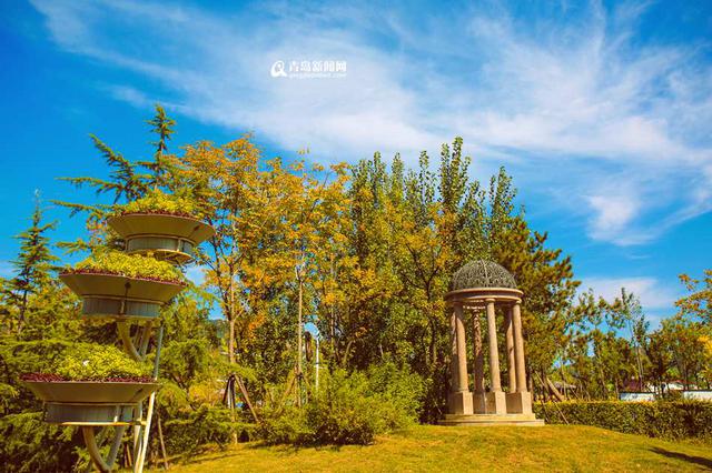 高清:邂逅秋天的世博园 斑斓色彩染透山谷 高清:邂逅秋天的世博园 斑斓色彩染透山谷