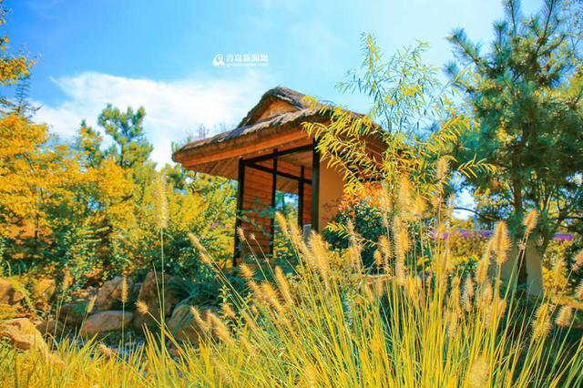 高清:邂逅秋天的世博园 斑斓色彩染透山谷 高清:邂逅秋天的世博园 斑斓色彩染透山谷