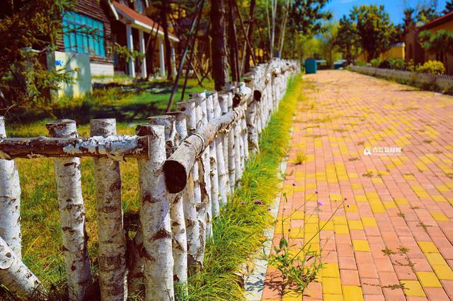 高清:邂逅秋天的世博园 斑斓色彩染透山谷 高清:邂逅秋天的世博园 斑斓色彩染透山谷