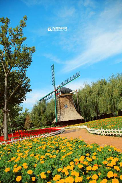 高清:邂逅秋天的世博园 斑斓色彩染透山谷 高清:邂逅秋天的世博园 斑斓色彩染透山谷