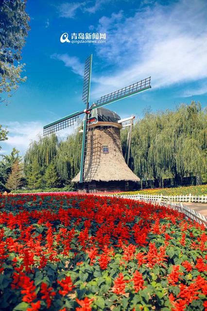 高清:邂逅秋天的世博园 斑斓色彩染透山谷 高清:邂逅秋天的世博园 斑斓色彩染透山谷