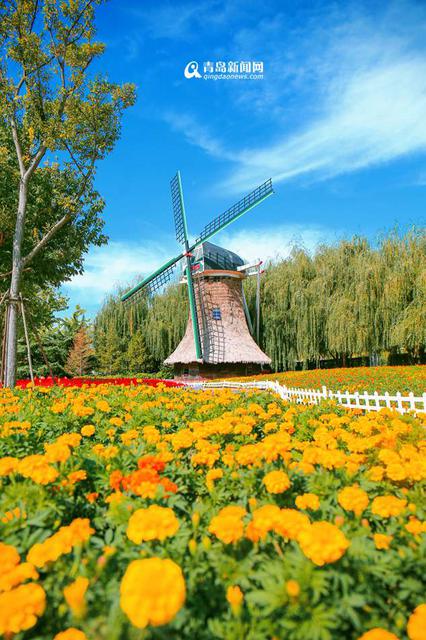 高清:邂逅秋天的世博园 斑斓色彩染透山谷 高清:邂逅秋天的世博园 斑斓色彩染透山谷