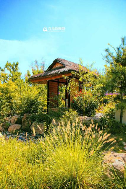 高清:邂逅秋天的世博园 斑斓色彩染透山谷 高清:邂逅秋天的世博园 斑斓色彩染透山谷