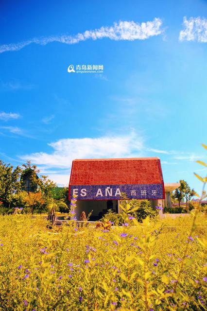 高清:邂逅秋天的世博园 斑斓色彩染透山谷 高清:邂逅秋天的世博园 斑斓色彩染透山谷