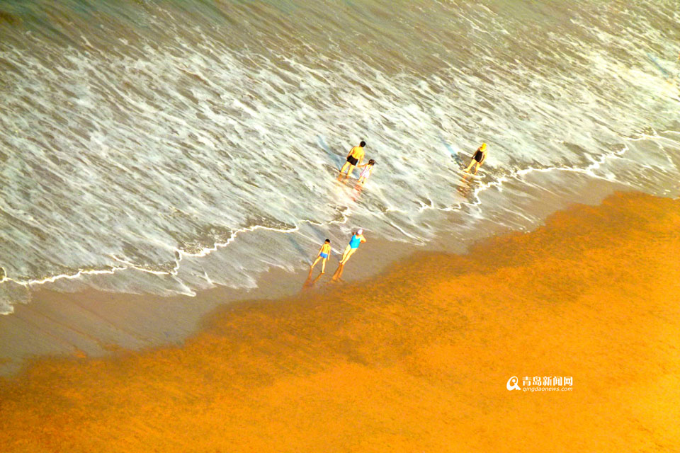 【百姓摄影节】海滨印象 青岛的沙滩如此美丽