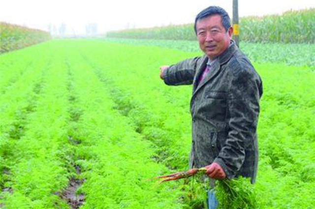 大雨一浇 庄稼喝“恣”了