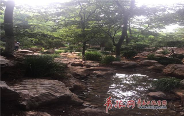 29年老公园换新装 榉林山公园渐成“后花园”