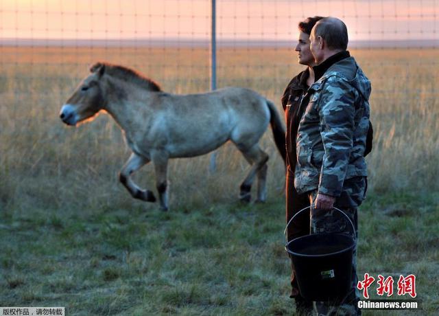 俄总统普京访问自然保护区 骑摩托喂马变牧民