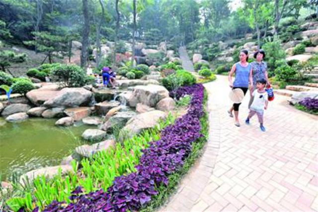 青岛12个山头年底大变身 北岭山瀑布叠嶂