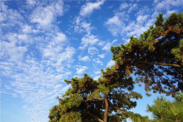 高清：假期余额不足 青岛前海一线颜值颇高
