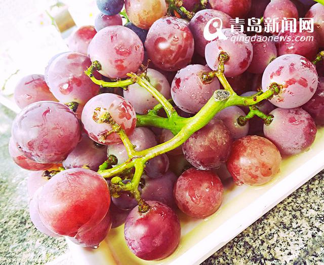 【美丽乡村】城阳宫家村：葡萄架下的闲暇生活