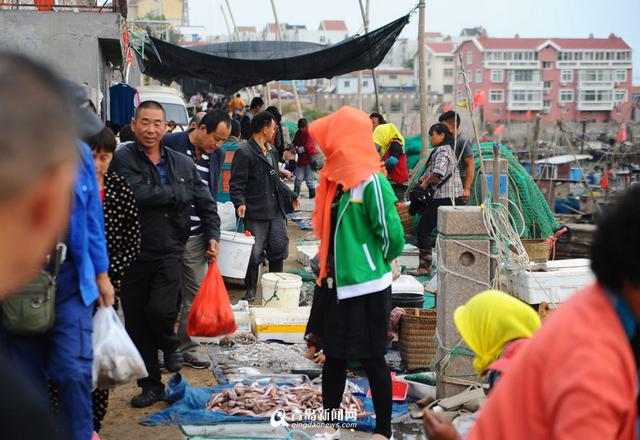 高清：沙子口鱼港小杂鱼丰收 本地美食家最爱