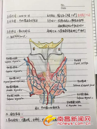 90后美女护士手术笔记走红 字迹工整解剖图手绘