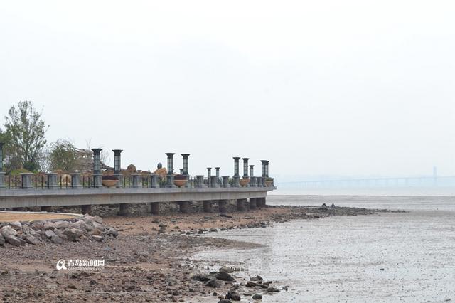 高清：实拍胶州湾绿道 两层堤坝让你看爽海景
