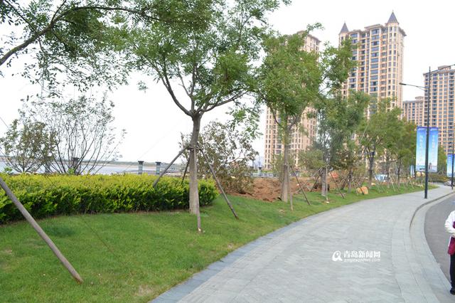 高清：实拍胶州湾绿道 两层堤坝让你看爽海景