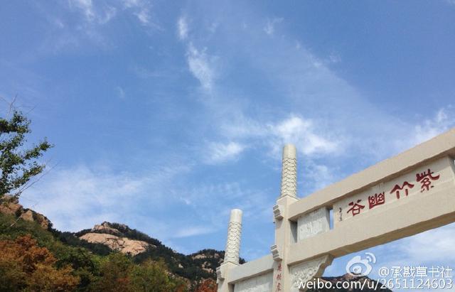 李沧竹子庵现1600岁高龄银杏古树 李沧竹子庵现1600岁高龄银杏古树