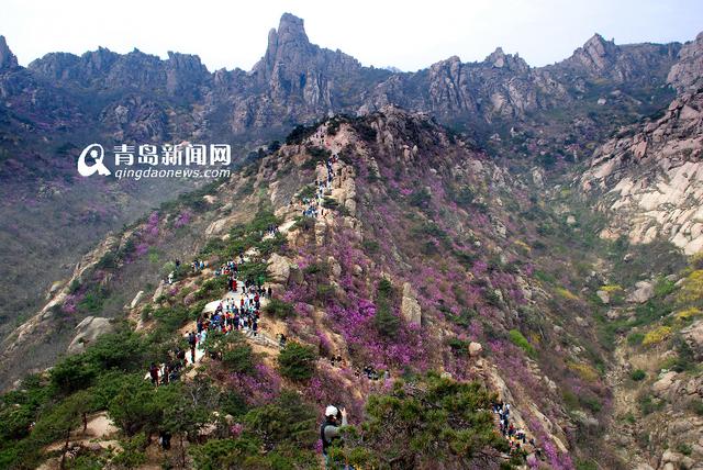 【美丽乡村】黄岛滨海街道:岸海名山旅游胜地
