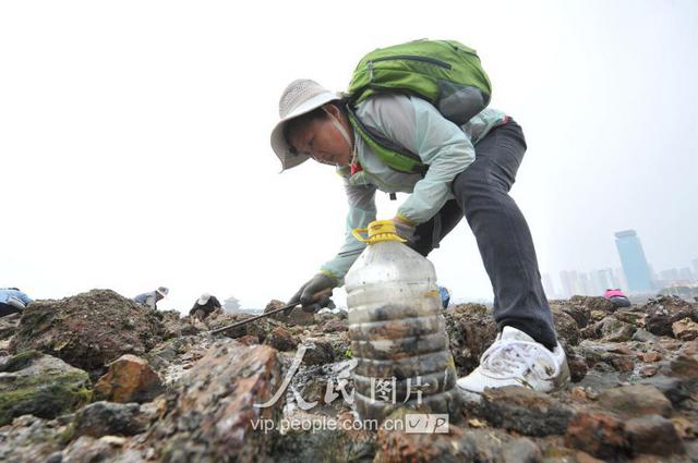 青岛天文大潮退潮现大面积滩涂 栈桥秒变赶海乐园 青岛天文大潮退潮现大面积滩涂 栈桥秒变赶海乐园