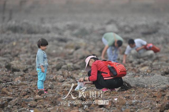 青岛天文大潮退潮现大面积滩涂 栈桥秒变赶海乐园 青岛天文大潮退潮现大面积滩涂 栈桥秒变赶海乐园