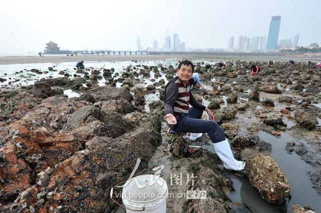 青岛天文大潮退潮现大面积滩涂 栈桥秒变赶海乐园 青岛天文大潮退潮现大面积滩涂 栈桥秒变赶海乐园