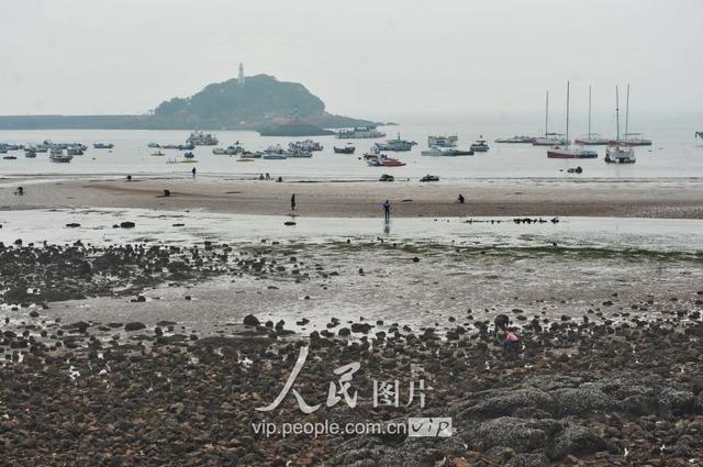 青岛天文大潮退潮现大面积滩涂 栈桥秒变赶海乐园 青岛天文大潮退潮现大面积滩涂 栈桥秒变赶海乐园